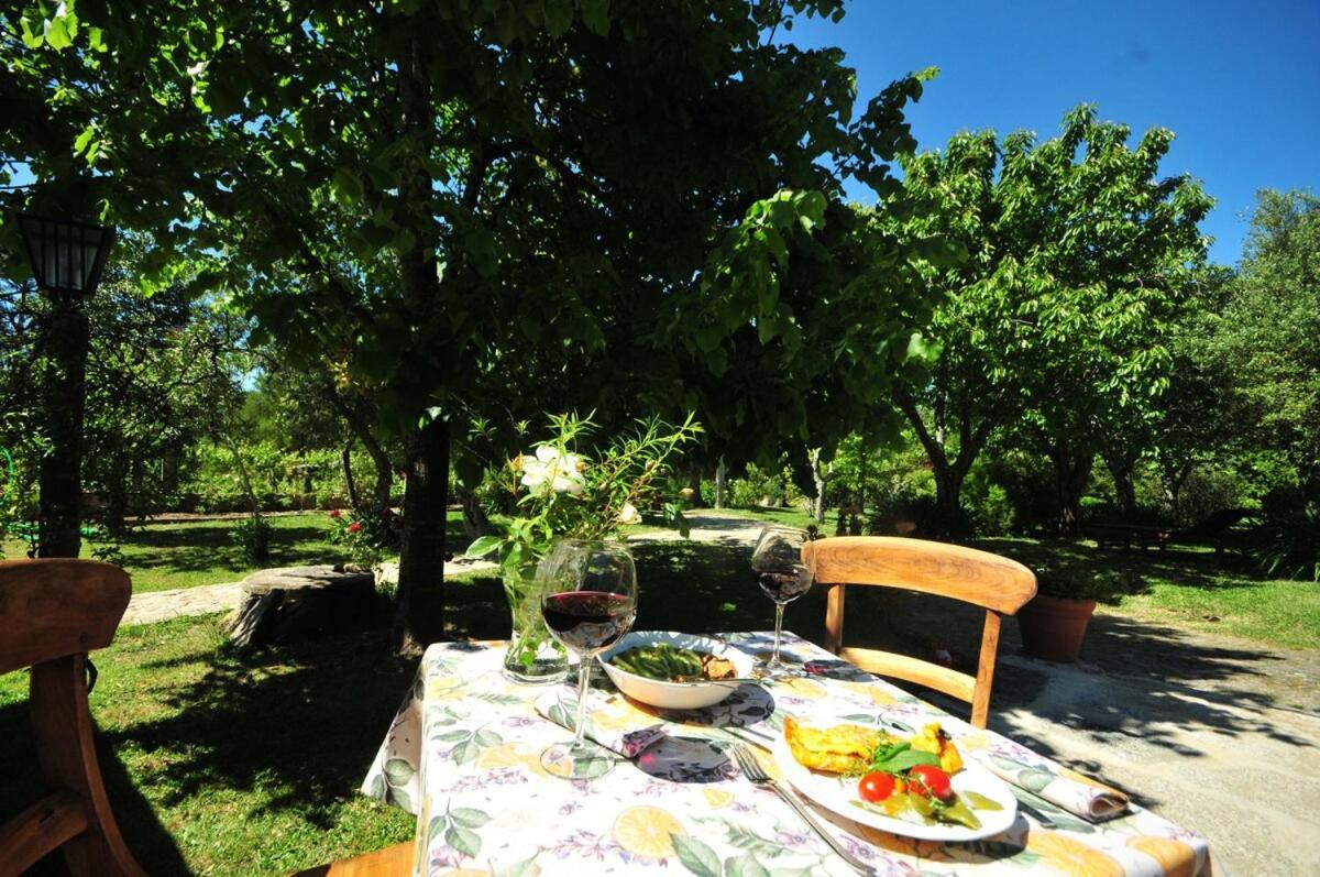 Casas De Santiago Villa Vila Nova de Cerveira Dış mekan fotoğraf